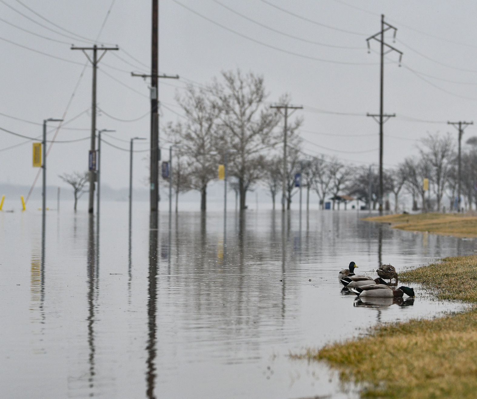 River Drive flooding in Moline